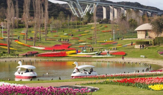 淡路島国営明石海峡公園