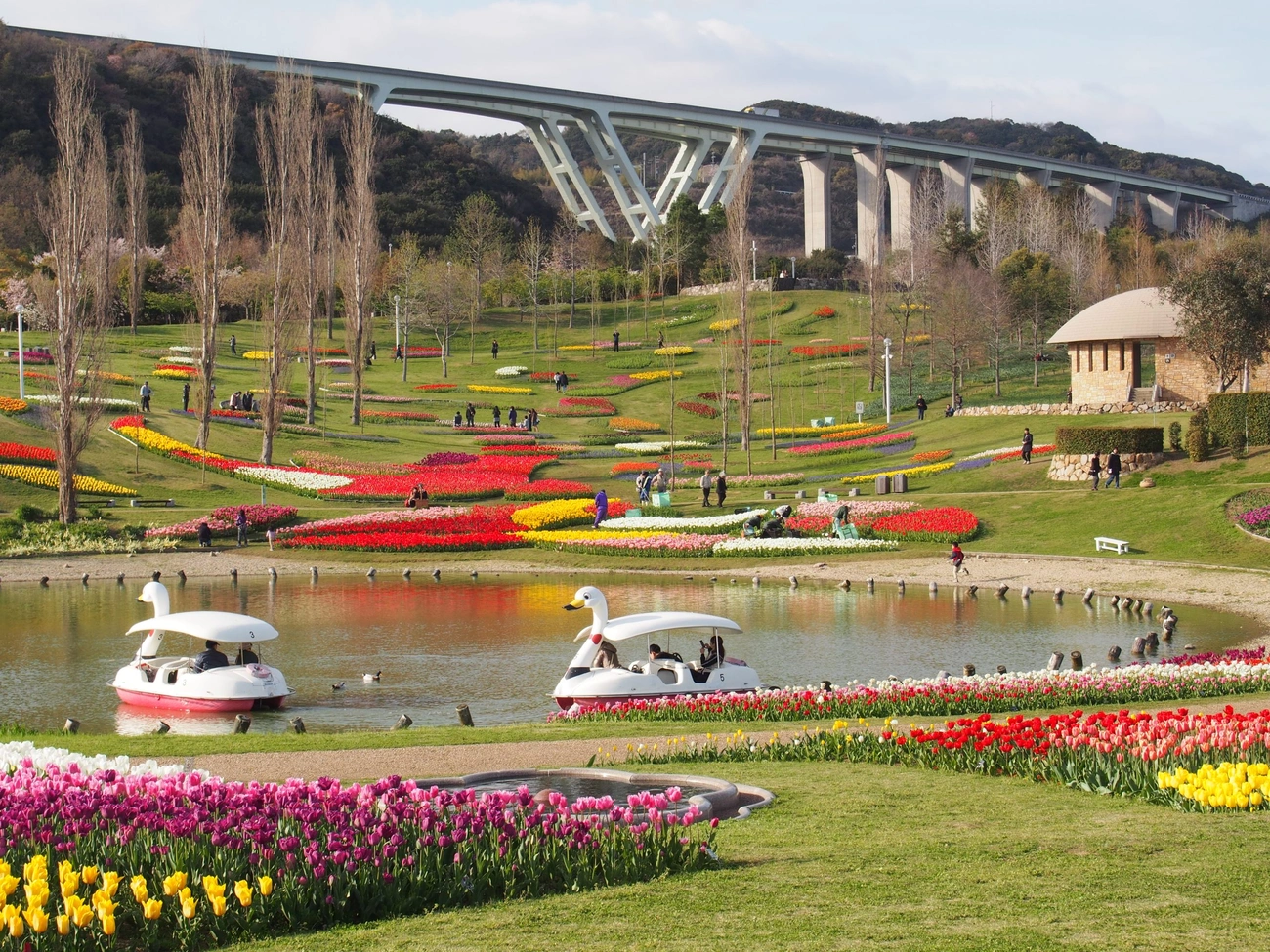 淡路島国営明石海峡公園 ｜グランドメルキュール淡路島リゾート＆スパ【公式】