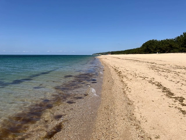 慶野松原海水浴場|淡路島美爵溫泉度假酒店【官方】