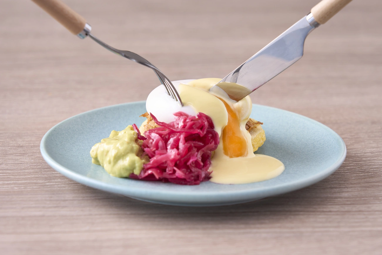 普鲁多波克本尼迪克特